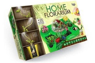 Набір для вирощування рослин Home Florarium HFL-01-01U&nbsp;Danko Toys Нас9871 фото