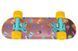 Скейт Paw Patrol PP2619 44 см колеса PVC, з металевим ефектом Різ0944 фото 4