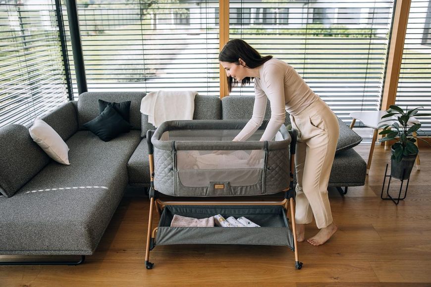 Приліжкове ліжечко та стільчик для дитини Nest & Feed 2 в 1 FreeON, grey 84959 фото